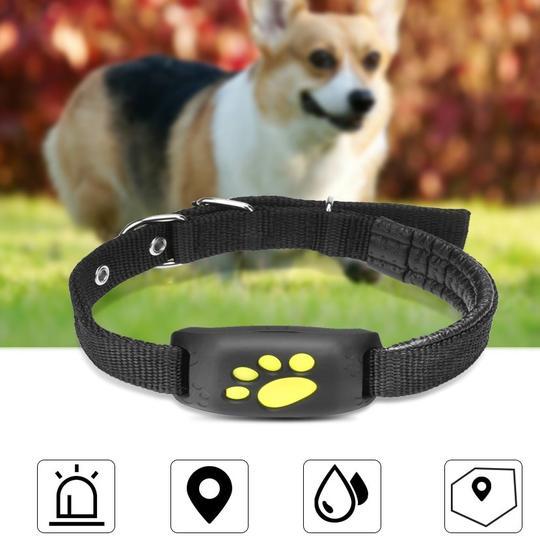 GPS Pet Tracker – Real-Time Location & Safety