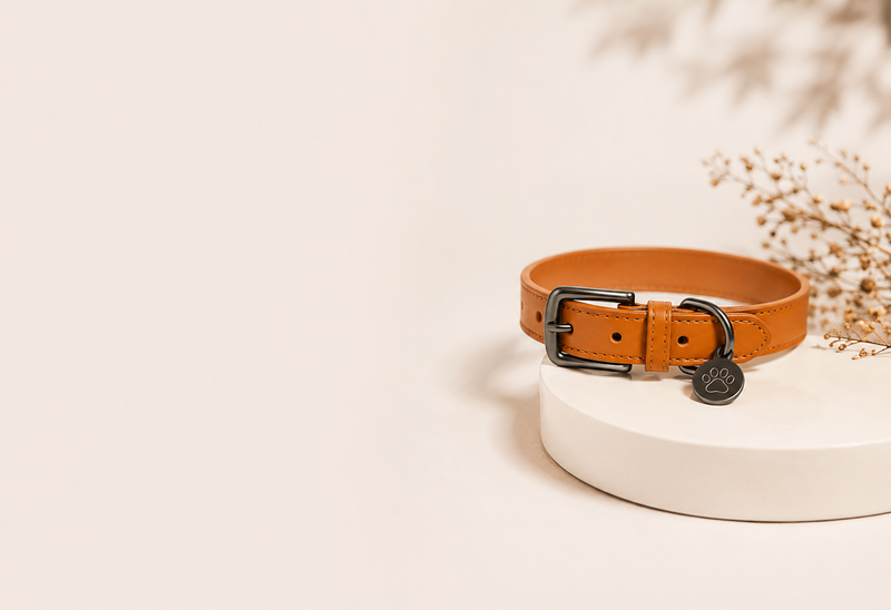 Pet Collar