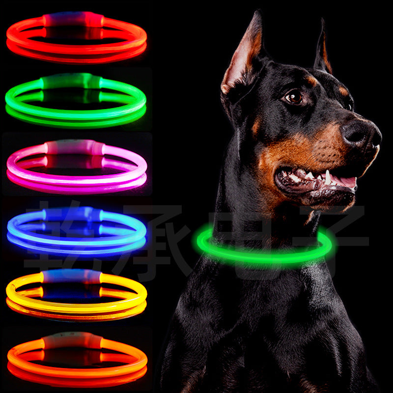 USB Rechargeable LED Dog Collar