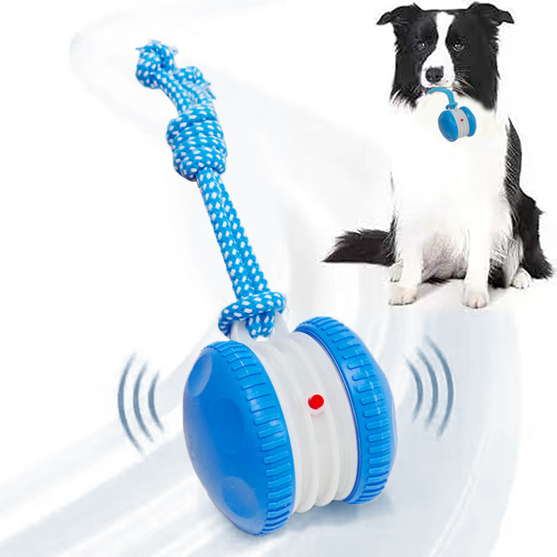 Bite-Resistant Toy Ball For Dogs And Cats
