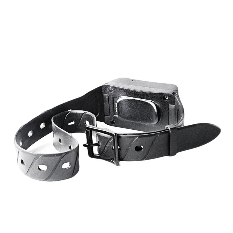 4G GPS Pet & Livestock Tracker