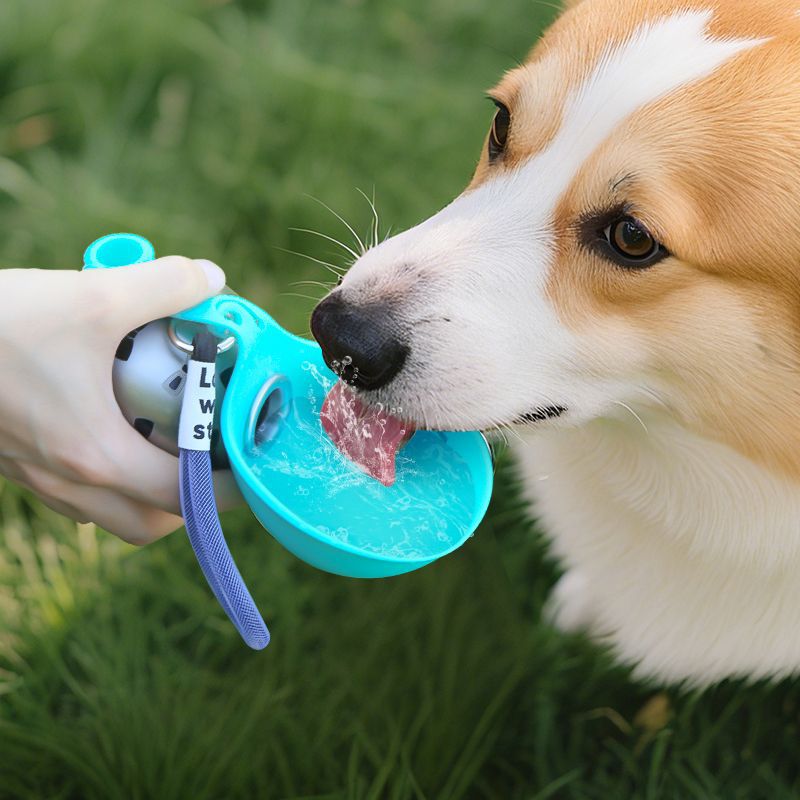 Pet Supplies Portable Dog Water Bottle 304 Stainless Steel Hook-Shaped Spherical Foldable Water Dispenser With Backflow Prevention
