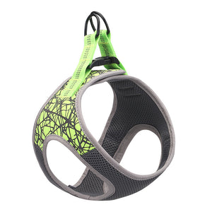 Anti-Escape Dog Harness and Leash