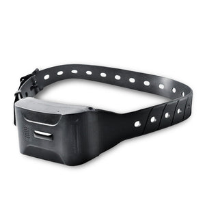 4G GPS Pet & Livestock Tracker