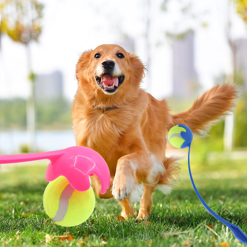 Interactive Dog Ball Launcher Training Toy